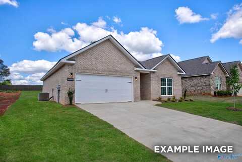 145 Ivy Vine Drive, Toney, AL 35773
