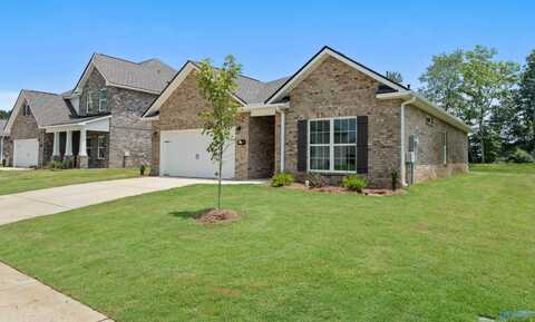 145 Ivy Vine Drive, Toney, AL 35773
