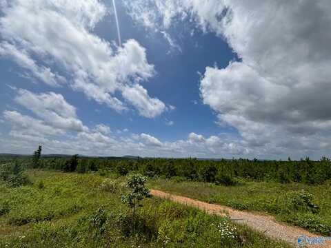 Tract 3 Tom Cat Road, Gadsden, AL 35903