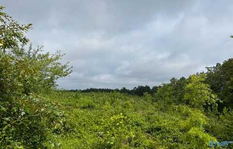 Tract 2 Tom Cat Road, Gadsden, AL 35903