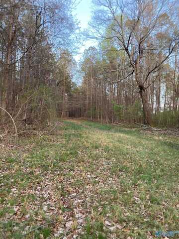 2243 Mount Carmel Drive, Guntersville, AL 35976
