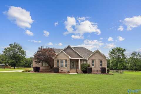 2801 Mountain View Drive, Southside, AL 35907