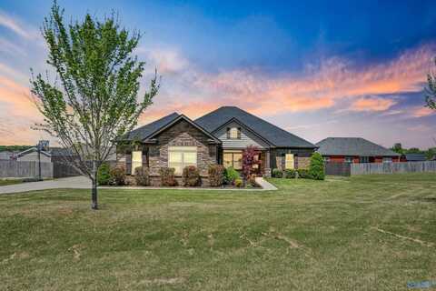 218 Southern Wind Drive, New Market, AL 35761