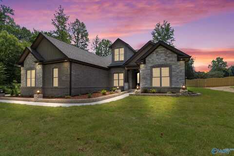 21984 Hickory Hill Lane, Athens, AL 35613