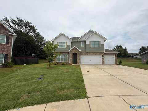 101 River Springs Court, New Market, AL 35761