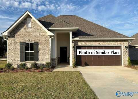 204 James River Drive, Madison, AL 35756