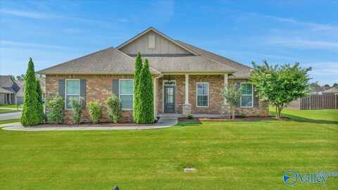 21848 Bald Eagle Drive, Athens, AL 35613