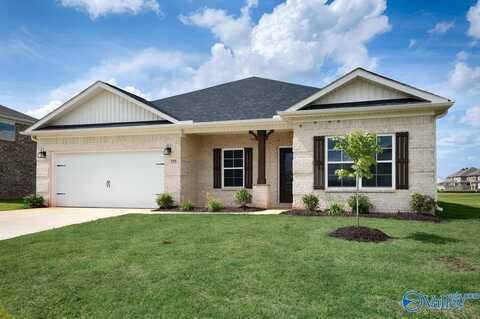 111 Old Dirt Road, Meridianville, AL 35759