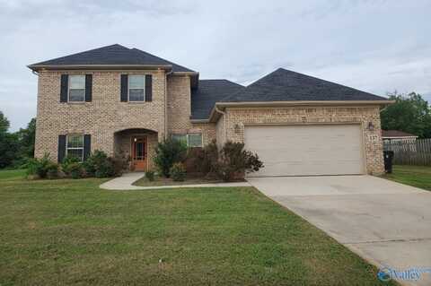 137 Old Eli Road, Toney, AL 35773