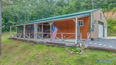 1228 Matt Morrow Road, Arab, AL 35016