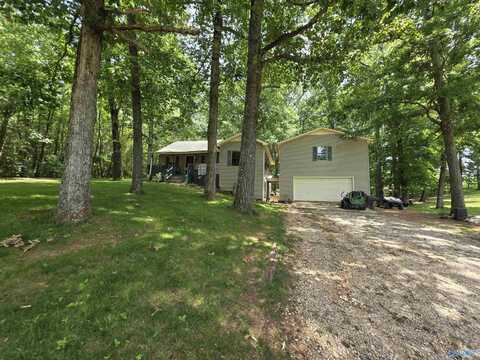 2845 E Upper River Road, Somerville, AL 35670