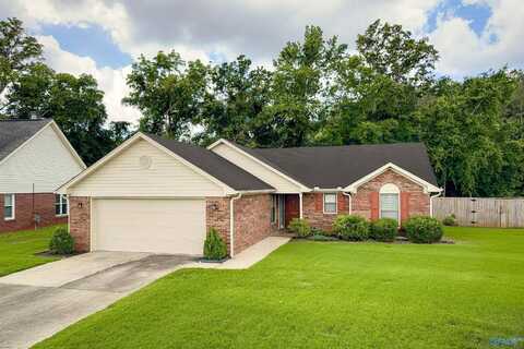 3903 Choctaw Drive, Decatur, AL 35603