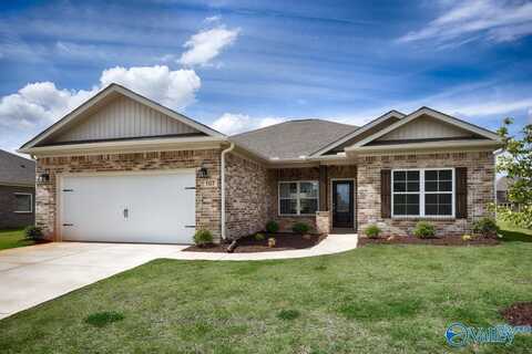 107 Old Dirt Road, Meridianville, AL 35759