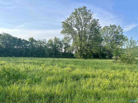 8148 Highway 431, Owens Cross Roads, AL 35763