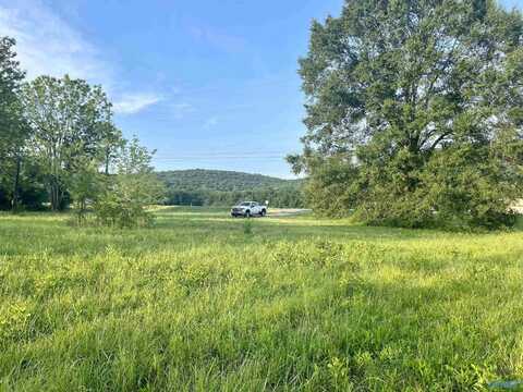 8148 - B Highway 431, Owens Cross Roads, AL 35763