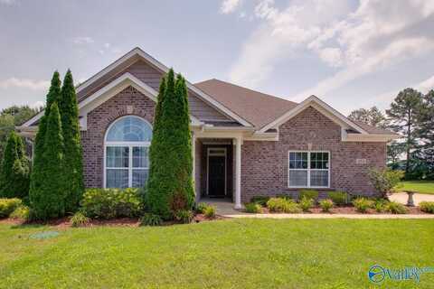 253 Waterbrook Lane, Harvest, AL 35749