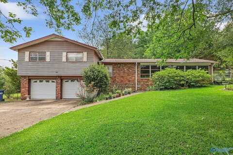 4103 Tawannah Circle, Hokes Bluff, AL 35903