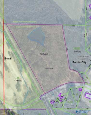 16 Acres Highway 205, Boaz, AL 35956