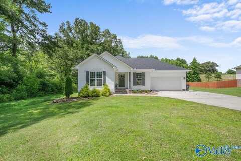 713 Rabbittown Road, Glencoe, AL 35905