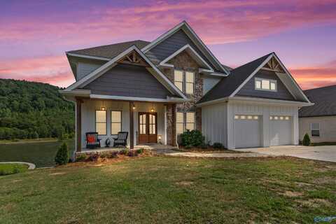 126 North Harbor Drive, Guntersville, AL 35976