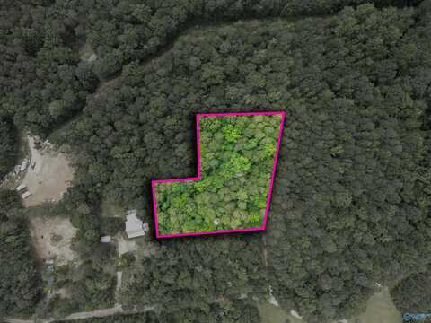1.78 Ac County Road 427, Fort Payne, AL 35967