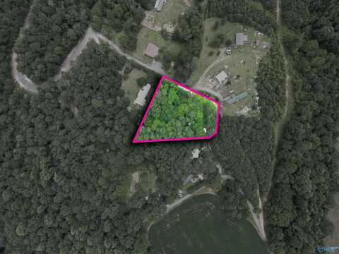 .75 Ac County Road 275, Fort Payne, AL 35967