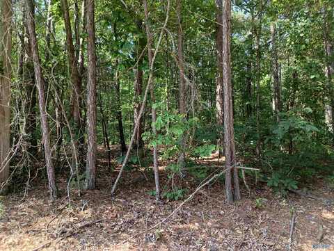 1 Arledge Drive, Attalla, AL 35954