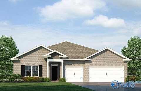 521 E East River Landing Blvd SW, Madison, AL 35758