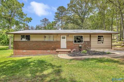 5119 Jenkins Road, Hokes Bluff, AL 35905