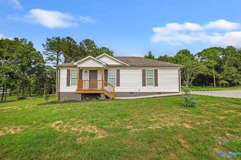 58 Sweet Home Rd, Guntersville, AL 35976
