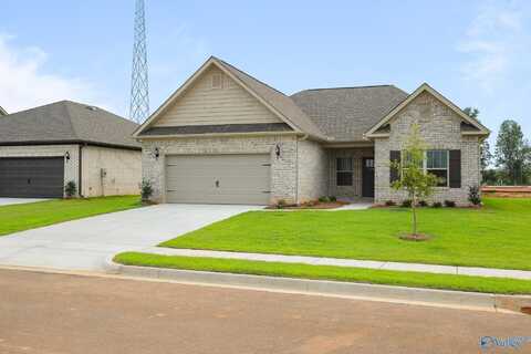 6 Valion Street, Meridianville, AL 35759