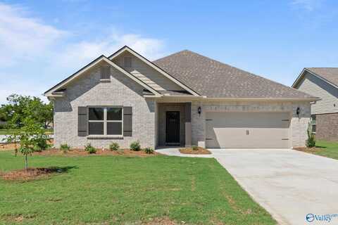 8 Valion Street, Meridianville, AL 35759