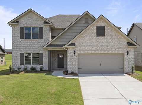 160 Saddle Street, New Market, AL 35761
