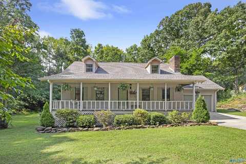3731 Danville Road, Decatur, AL 35603