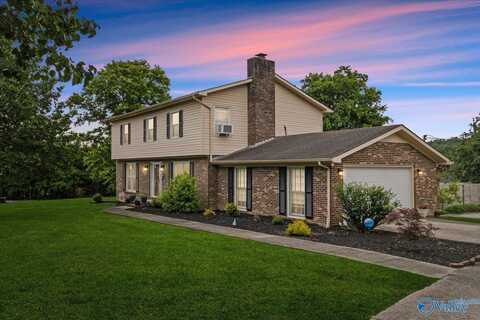 205 Chadwick Drive, Fayetteville, TN 37334