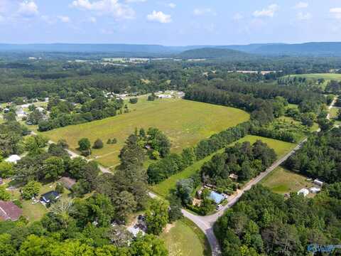 440 Maples Lane, New Hope, AL 35760