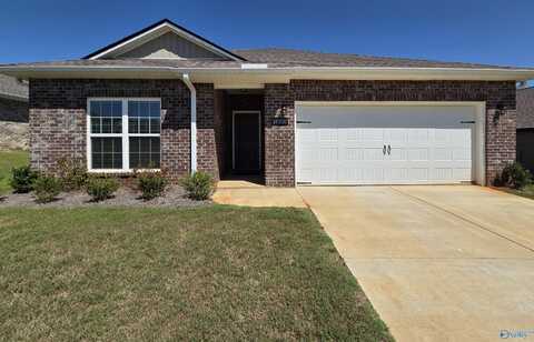14310 Harvest Ridge Lane, Athens, AL 35611