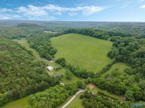 305 Ingram Road, Pulaski, TN 38478