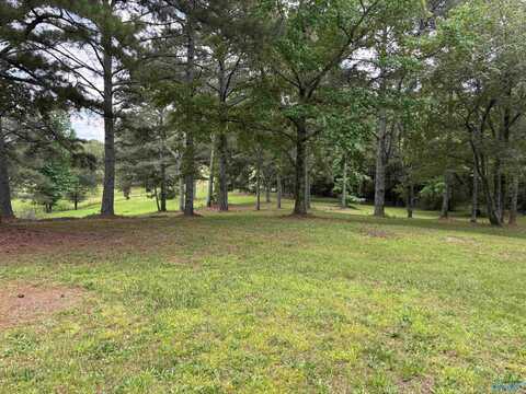 64 Lakeview Drive, Altoona, AL 35990