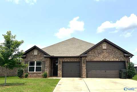 205 Holt Street, Meridianville, AL 35759