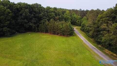 4.14 Acres Salem Minor Hill Road, Lester, AL 35647
