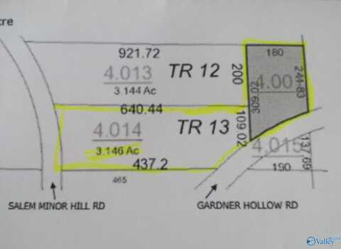 4.14 Acres Salem Minor Hill Road, Lester, AL 35647
