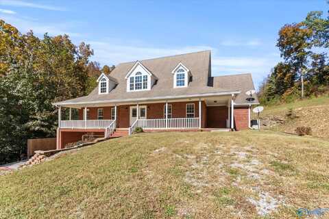 21336 Cairo Hollow Road, Athens, AL 35614