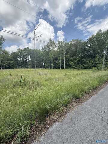 28427 Jessica Drive, Toney, AL 35773