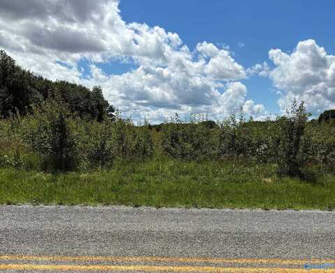 Lot 16 Vanzille Lane, Athens, AL 35611