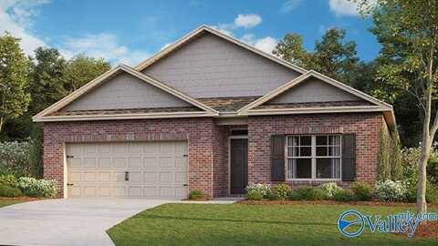 16 Moon Drive, Scottsboro, AL 35769