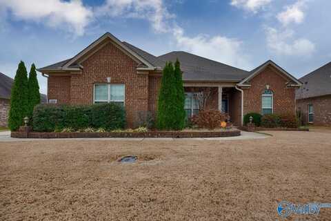 104 Jenny Drive, Madison, AL 35756