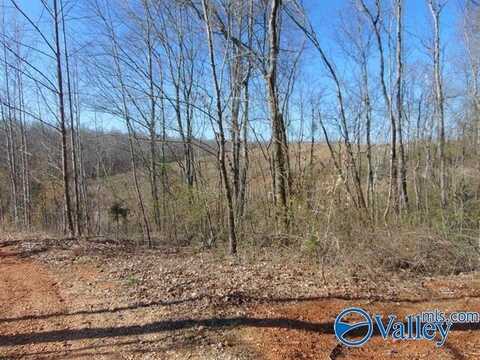 341 County Road 342, Killen, AL 35645