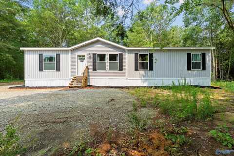 2736 Horton Nixon Chapel Road, Horton, AL 35980