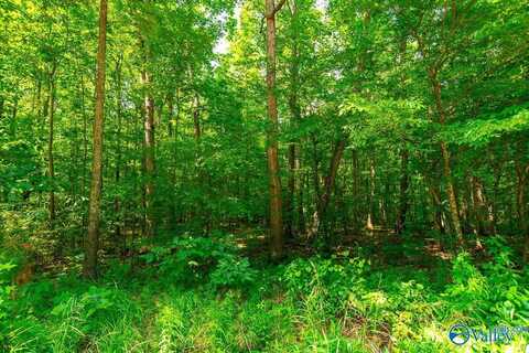 Bobo Section Bobo Section Road, Hazel Green, AL 35750